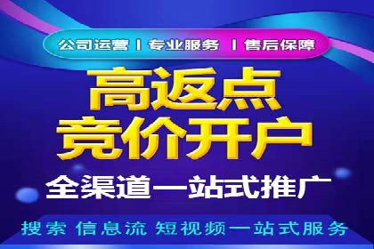 案例研究：如何通过竞价广告实现精准营销